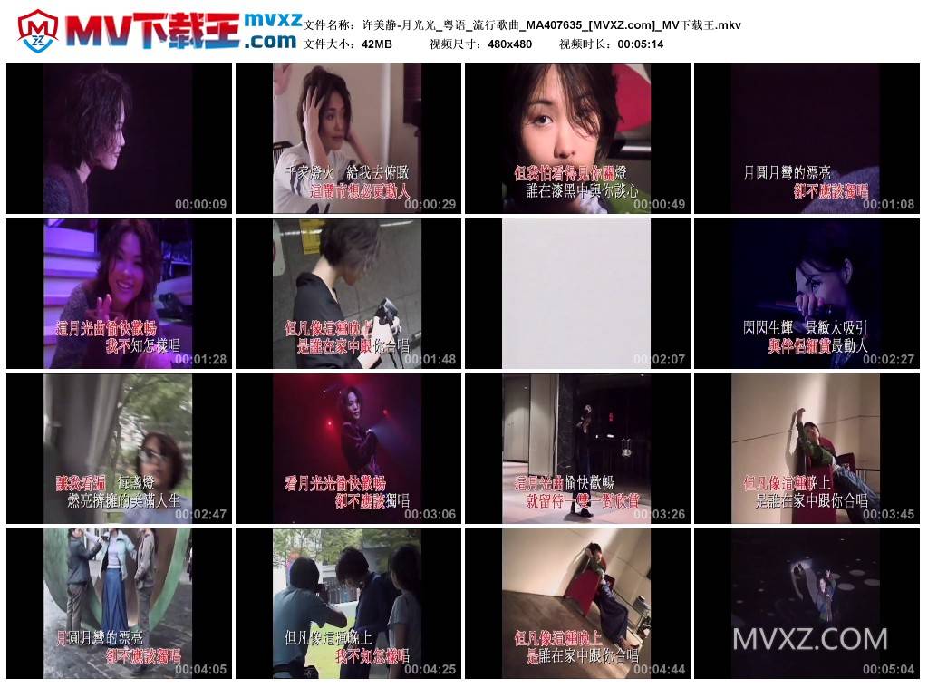 许美静-月光光_粤语_流行歌曲_MA407635